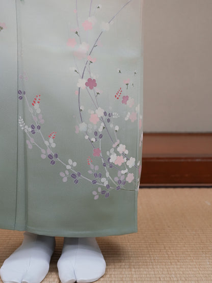 【フルセットレンタル】訪問着｜単衣｜セパレート着物｜身長150〜169cm｜Fioro