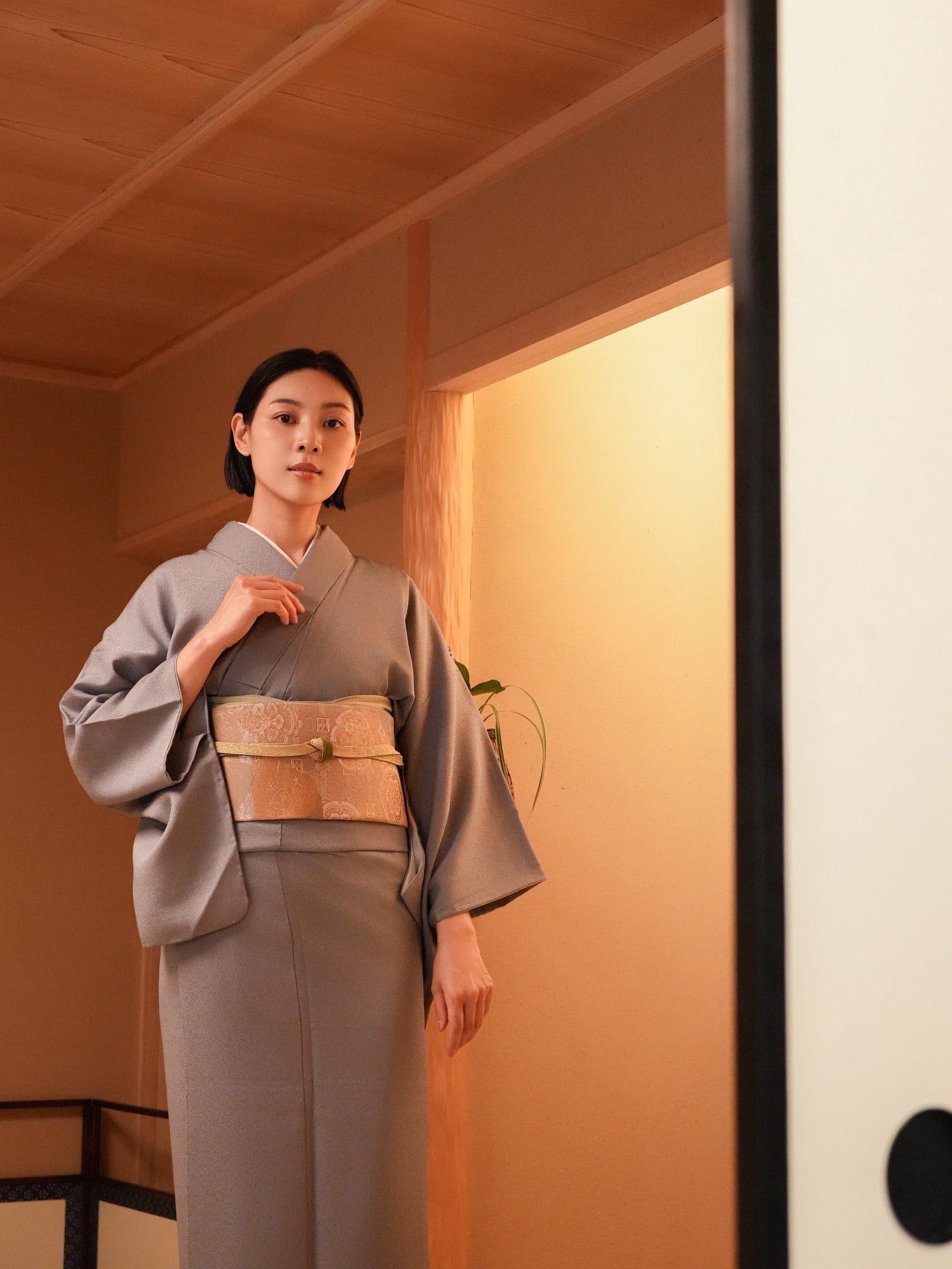 【はじめてのフルセット】色無地  一つ紋（フォーマル）｜身長155-171cm｜セパレート着物｜ 